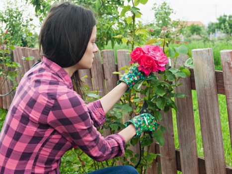 Contact route for accessibility requests on a landscaping website