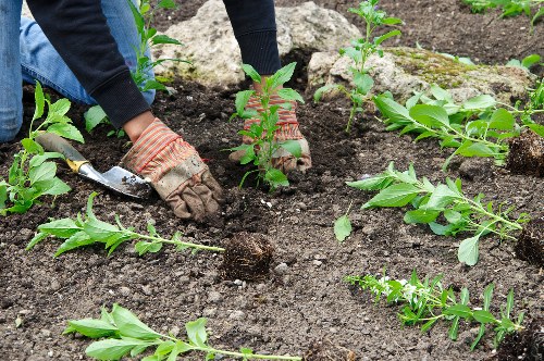 Accessibility review of landscaping pages for Merton users