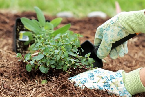 Patio, planting, and landscaping features for a Merton garden project