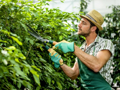 Garden maintenance work with tools and planted borders