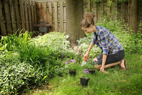 Thoughtful outdoor space planning for a Merton property