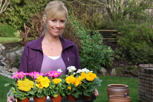 Free quote policy for Landscaping Merton services